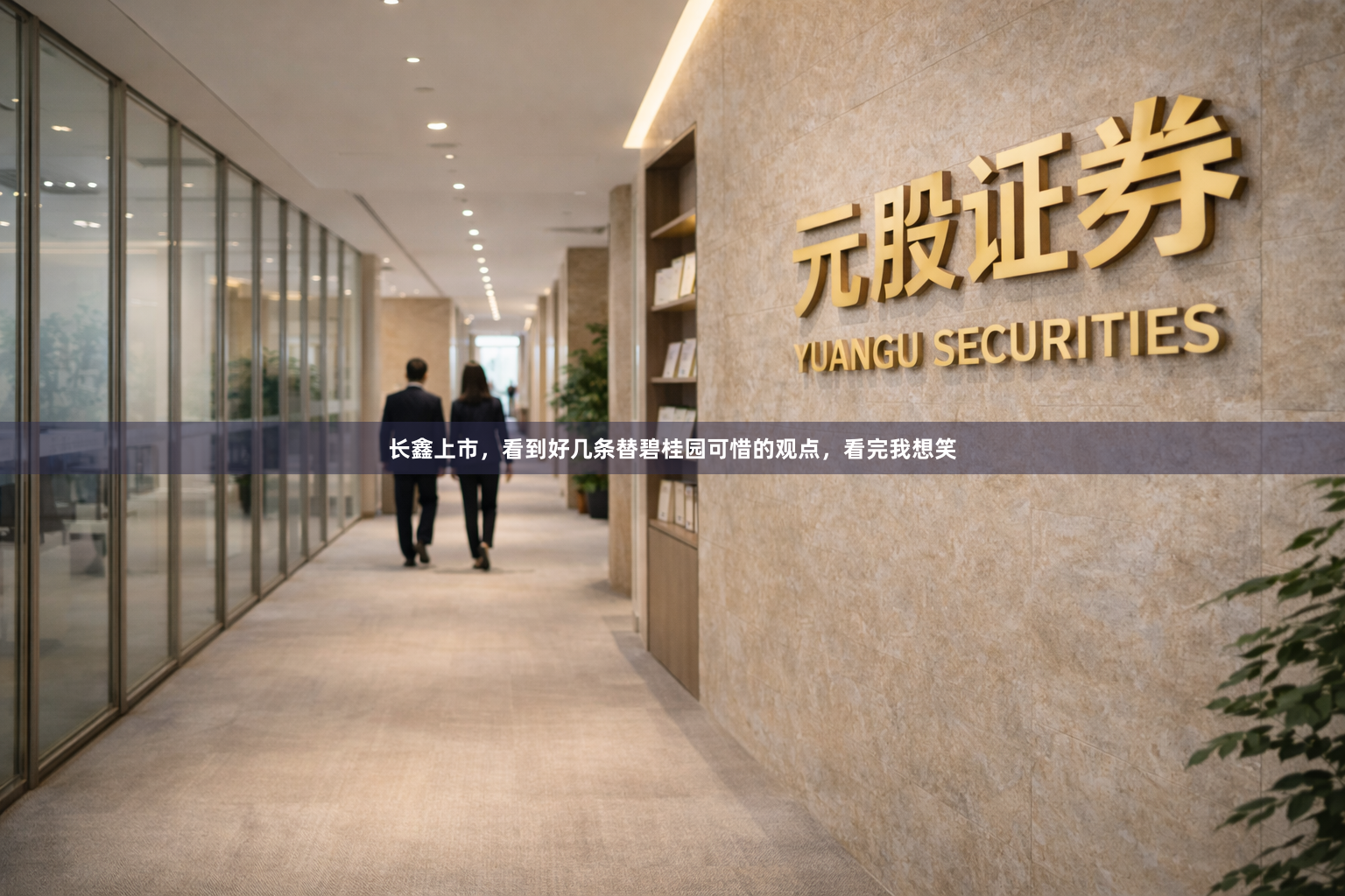 长鑫上市，看到好几条替碧桂园可惜的观点，看完我想笑